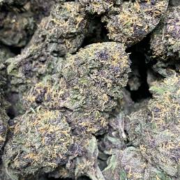 Durban Poison| Buy Weed Online | Dispensary Near Me