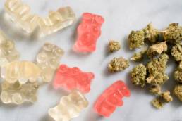 Recipe How To Make Cannabis Infused Gummy Bears uai