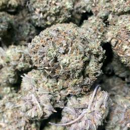Red Congolese |Buy Weed Online | Dispensary Near Me