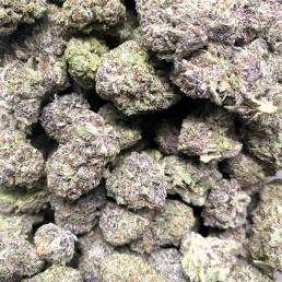 God’s Greencrack Wholesale | Buy Weed Online | Dispensary Near Me