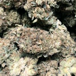 Purple OG Kush | Buy Weed Online | Dispensary Near Me