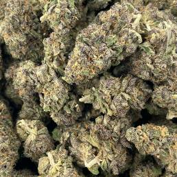 Space Queen | Buy Weed Online | Dispensary Near Me