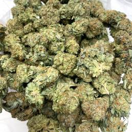 Gas Wholesale | Buy Weed Online | Dispensary Near Me