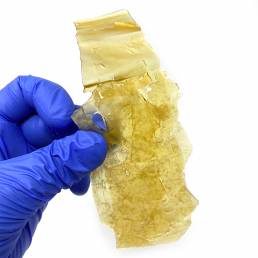 Blue Fin Tuna Kush Shatter | Dispensary Near Me | DNMN