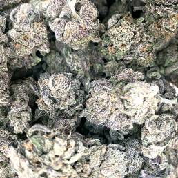 Budget Buds - Purple Crack Wholesale | Buy Weed Online | Dispensary Near Me