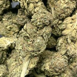 Black Rhino OG Kush | Buy Weed Online | Dispensary Near Me
