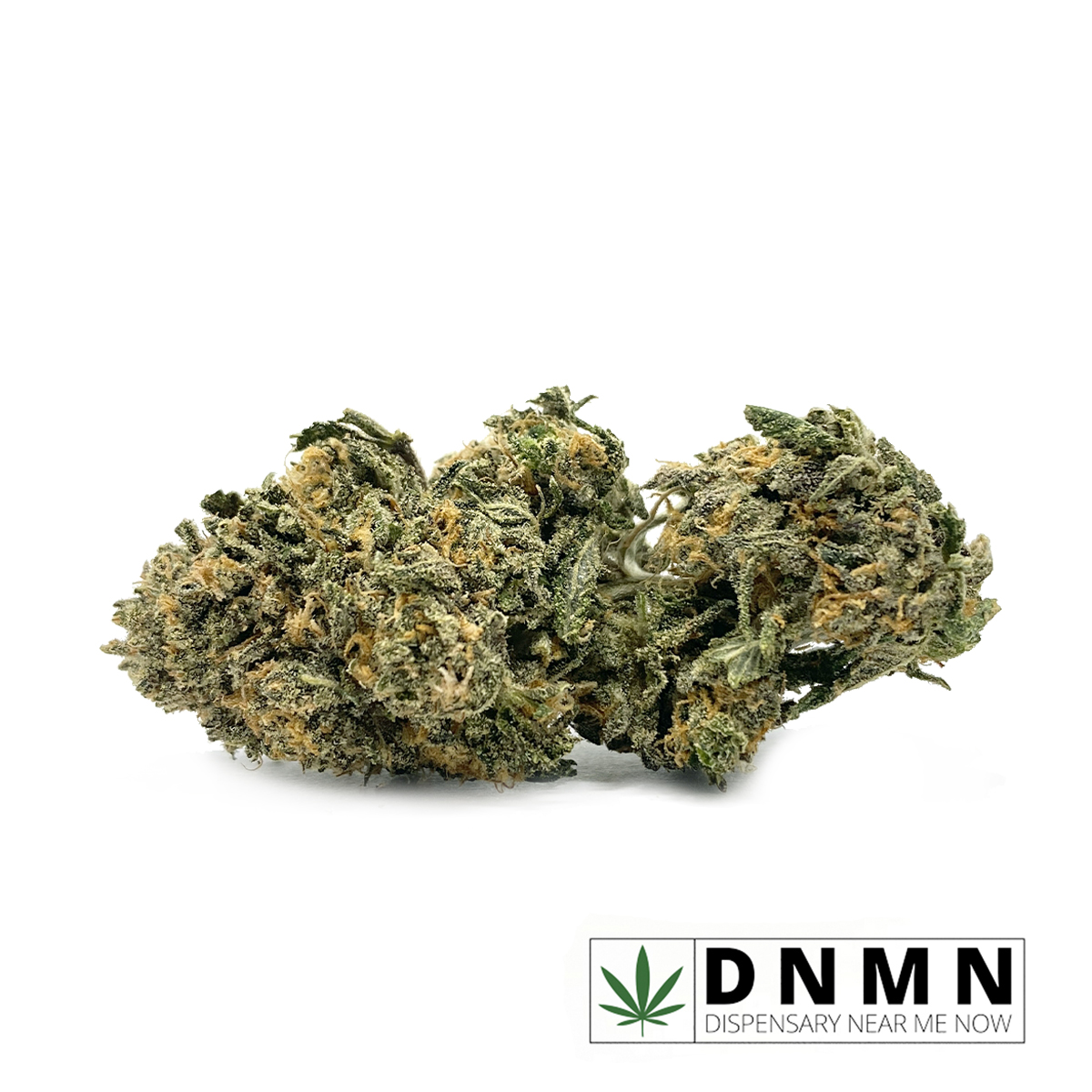 Budget Buds - Black Domina| Buy Weed Online | Dispensary Near Me