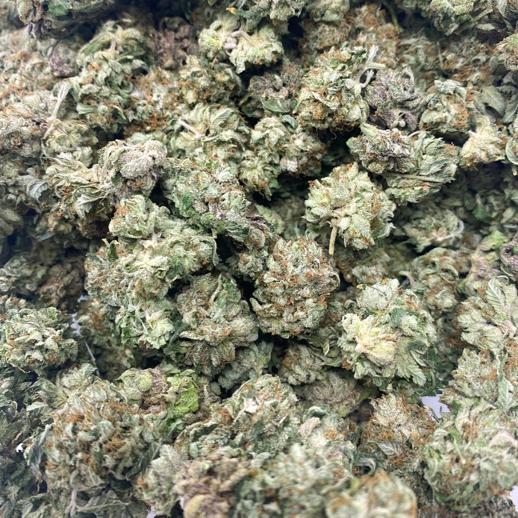 Budget Buds - Purple Trainwreck Wholesale | Buy Weed Online | Dispensary Near Me