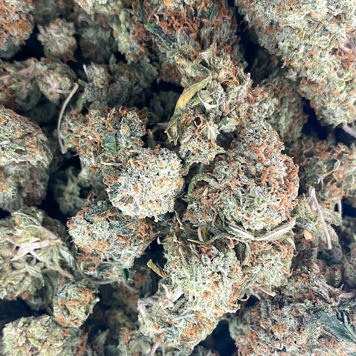 Jack Frost Buy Weed Online Dispensary Near Me