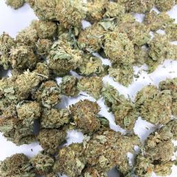 Budget Buds Black Cherry Wholesale | Buy Weed Online | Dispensary Near Me