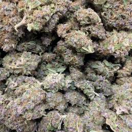 Budget Buds - Blue Dream Wholesale | Buy Weed Online | Dispensary Near Me