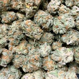 Budget Buds Critical Kush Wholesale | Buy Weed Online | Dispensary Near Me
