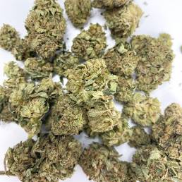 Budget Buds Donkey Butter Wholesale | Buy Weed Online | Dispensary Near Me