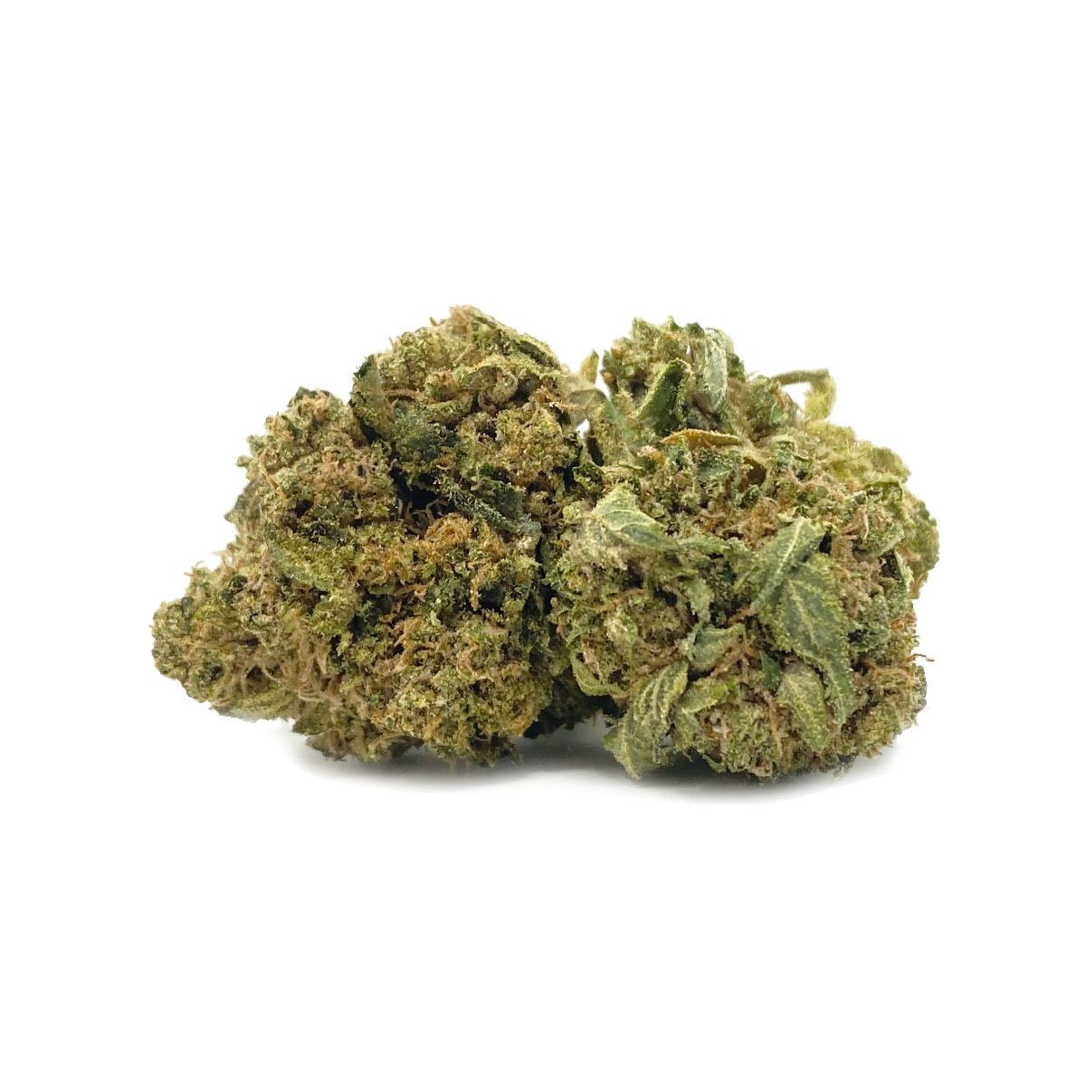 Budget Buds Donkey Butter | Buy Weed Online | Dispensary Near Me