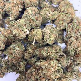 Budget Buds Gorilla Glue Wholesale | Buy Weed Online | Dispensary Near Me