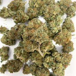Budget Buds Mike Tyson OG Wholesale| Buy Weed Online | Dispensary Near Me
