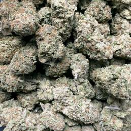 Purple Snoop Dogg | Buy Weed Online | Dispensary Near Me