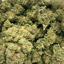 Budget Buds - OG Kush Wholesale | Buy Weed Online | Dispensary Near Me
