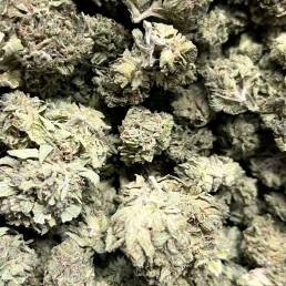 Budget Buds - Pine Tar Kush | Buy Weed Online | Dispensary Near Me