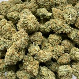 Budget Buds - Agent Orange Wholesale | Buy Weed Online | Dispensary Near Me