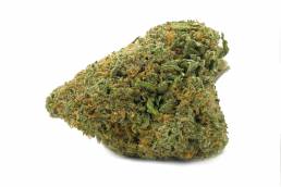 Budget Buds - Blue Cookies | Buy Weed Online | Dispensary Near Me