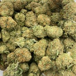Budget Buds - Blue Cookies Wholesale | Buy Weed Online | Dispensary Near Me