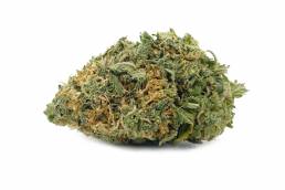 Budget Buds - Butterscotch | Buy Weed Online | Dispensary Near Me