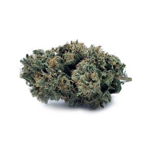 Budget Buds - Death Star OG | Buy Weed Online | Dispensary Near Me