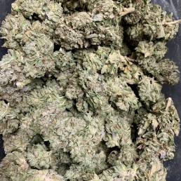 Budget Buds - Pink Tuna Wholesale | Buy Weed Online | Dispensary Near Me