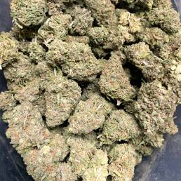 Budget Buds - Purple Jedi Kush Wholesale | Buy Weed Online | Dispensary Near Me