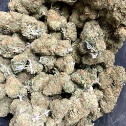 Budget Buds - Romulan Wholesale | Buy Weed Online | Dispensary Near Me