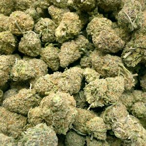 Budget Buds - Gelato Wholesale | Buy Weed Online | Dispensary Near Me