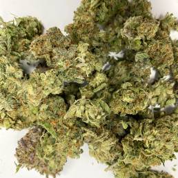 Budget Buds - Great White Shark Wholesale | Buy Weed Online | Dispensary Near Me