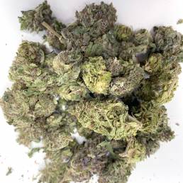Budget Buds - Purple Dream Wholesale | Buy Weed Online | Dispensary Near Me