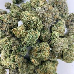 Tom Ford Pink Wholesale | Buy Weed Online | Dispensary Near Me