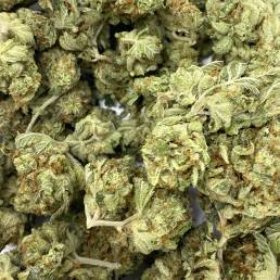 Budget Buds - Skywalker OG Wholesale | Buy Weed Online | Dispensary Near Me