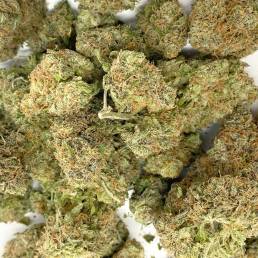 Budget Buds - Strawberry Cheesecake Wholesale | Buy Weed Online | Dispensary Near Me