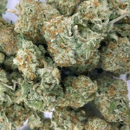 Budget Buds - Super Sour Kush Wholesale | Buy Weed Online | Dispensary Near Me