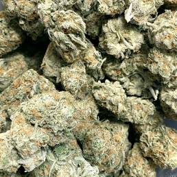 Budget Buds - Girl Scout Cookies | Buy Weed Online | Dispensary Near Me