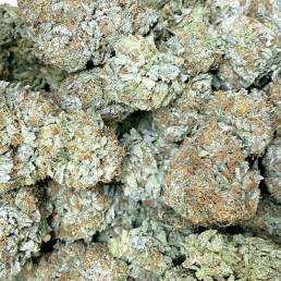 Budget Buds - King's Kush Wholesale | Buy Weed Online | Dispensary Near Me