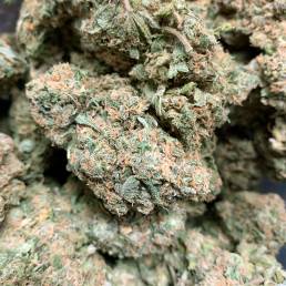Budget Buds - Orange Haze Wholesale | Buy Weed Online | Dispensary Near Me