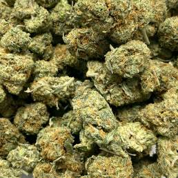 Budget Buds - Sour Haze Wholesale | Buy Weed Online | Dispensary Near Me