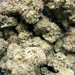 East Coast Sour Diesel | Buy Weed Online | Dispensary Near Me