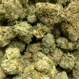 Sunset Sherbet Wholesale | Buy Weed Online | Dispensary Near Me