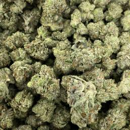 Tom Ford Bubba Kush |Buy Weed Online | Dispensary Near Me