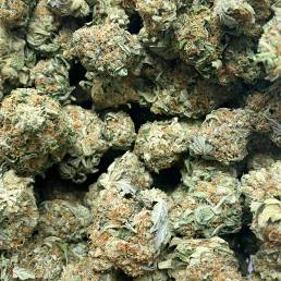 Tom Ford Bubba Kush Wholesale | Buy Weed Online | Dispensary Near Me