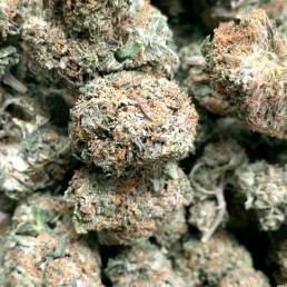 Budget Buds - Black D.O.G. Wholesale | Buy Weed Online | Dispensary Near Me
