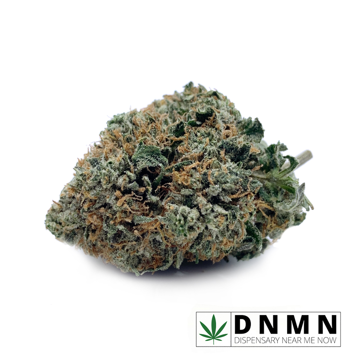 Budget Buds - Black D.O.G. | Buy Weed Online | Dispensary Near Me
