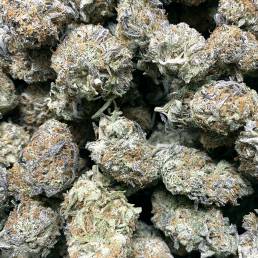 Budget Buds - Critical Mass | Buy Weed Online | Dispensary Near Me