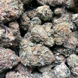 Budget Buds - Grapefruit | Buy Weed Online | Dispensary Near Me